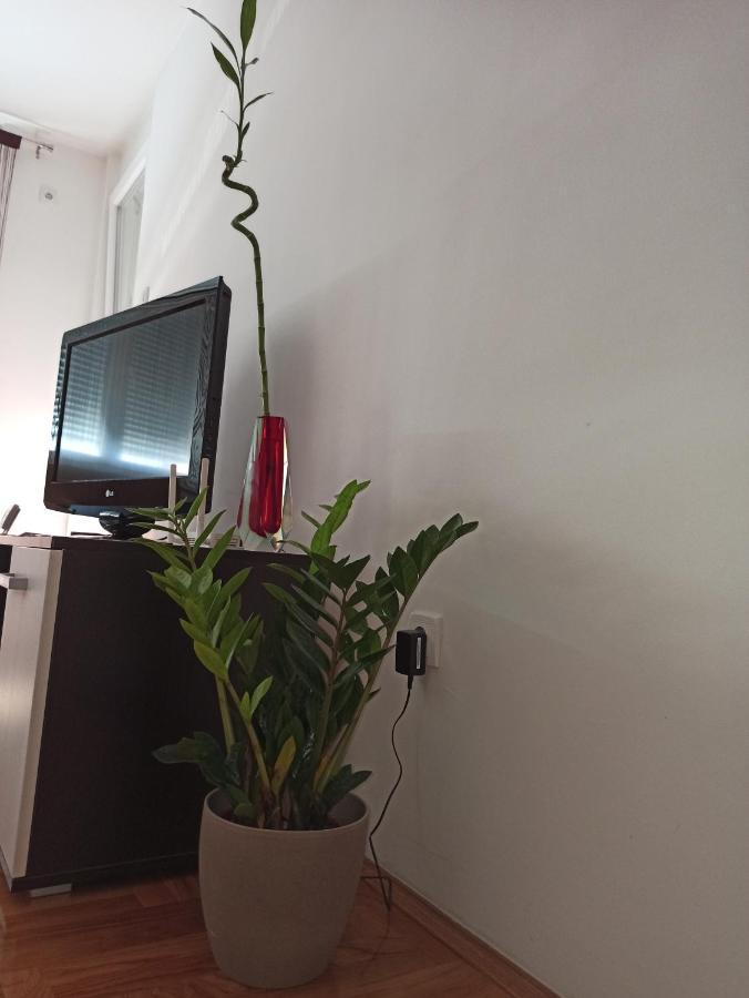 Bk Apartment, Istocno Sarajevo, Lukavica 외부 사진