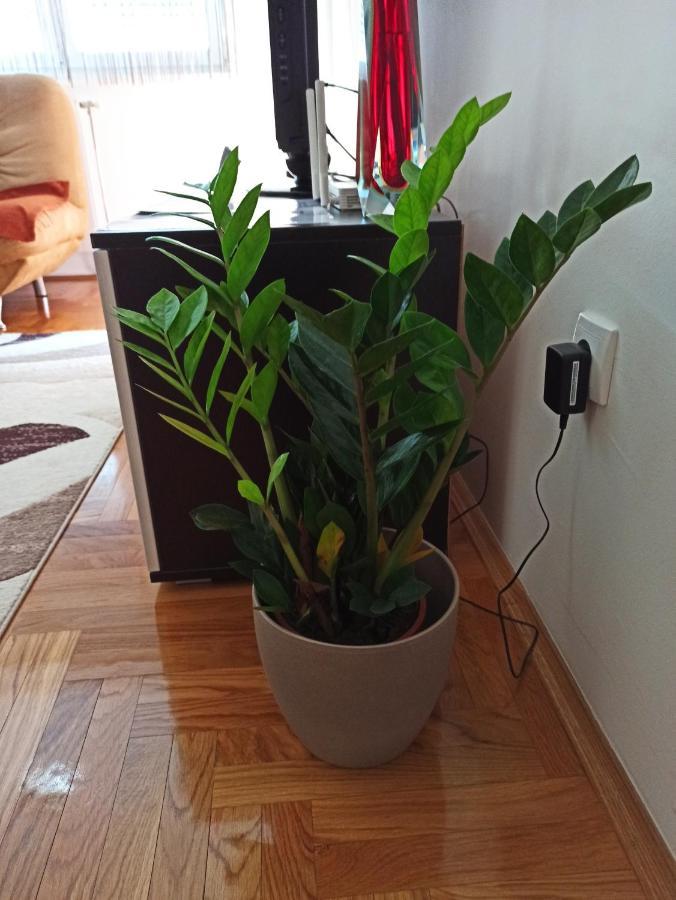 Bk Apartment, Istocno Sarajevo, Lukavica 외부 사진