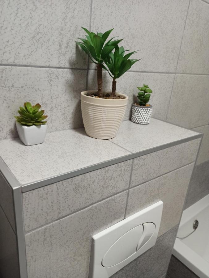 Bk Apartment, Istocno Sarajevo, Lukavica 객실 사진